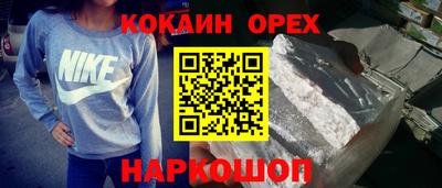 jwh Бийск