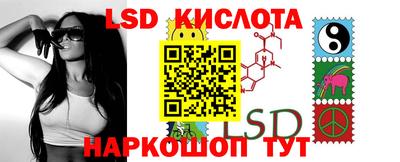 jwh Бийск