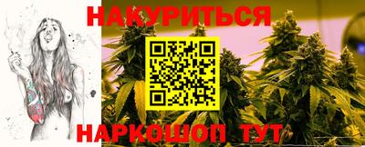 jwh Бийск