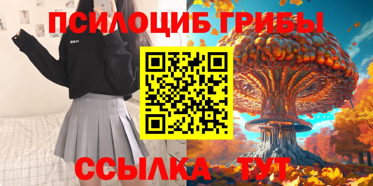 купить  сайты  Псилоцибиновые грибы Psilocybine cubensis  Вход с VPN  Губкинский 