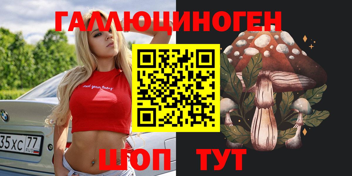 Галлюциногенные грибы Psilocybine cubensis Губкинский